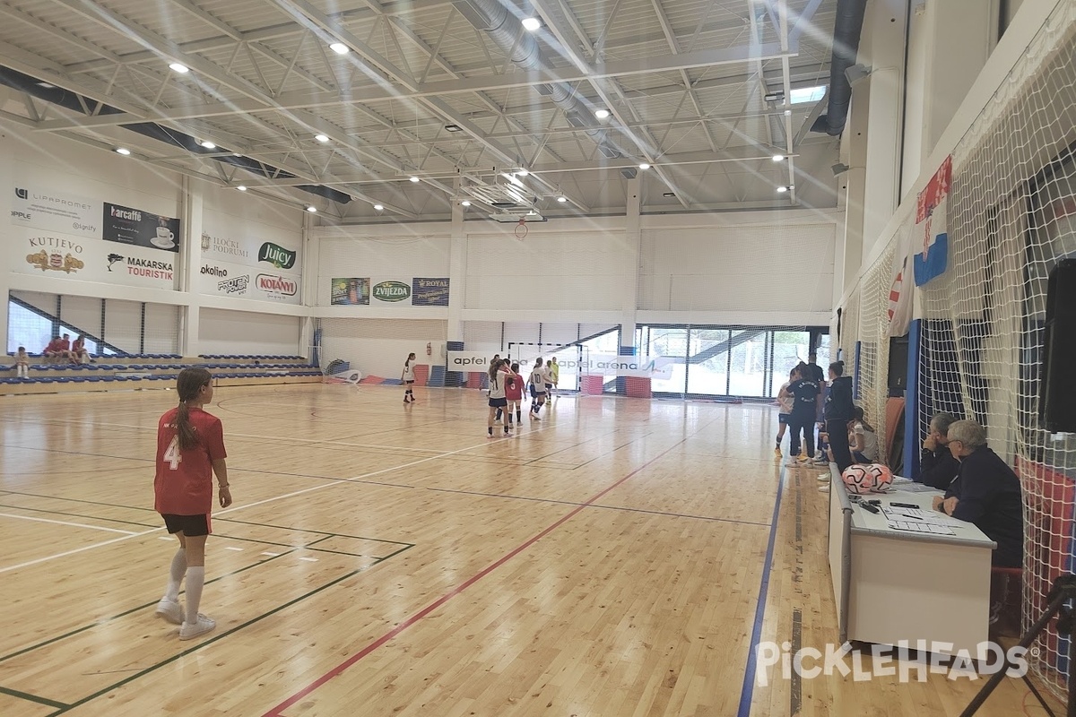 Photo of Pickleball at Apfel Arena